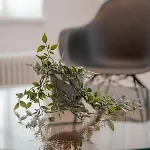Tergestroom & Boutique Aparthotel