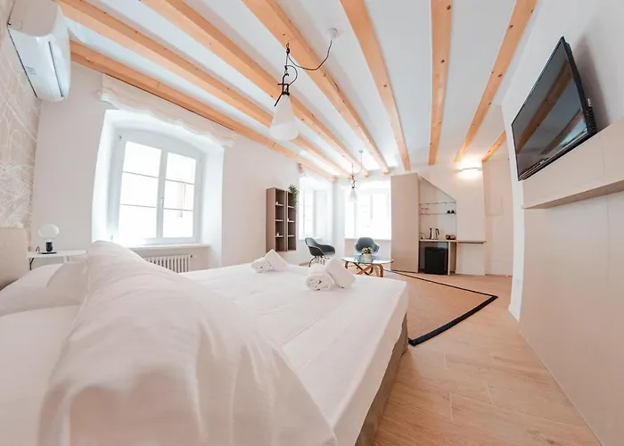 Aparthotel Tergestroom & Boutique